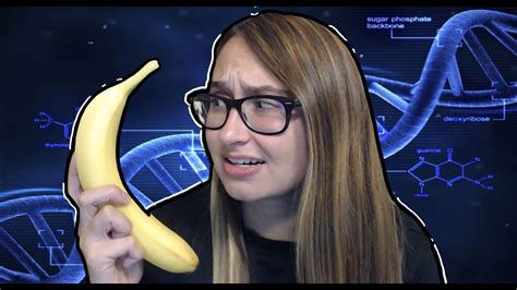 are humans similar to bananas
